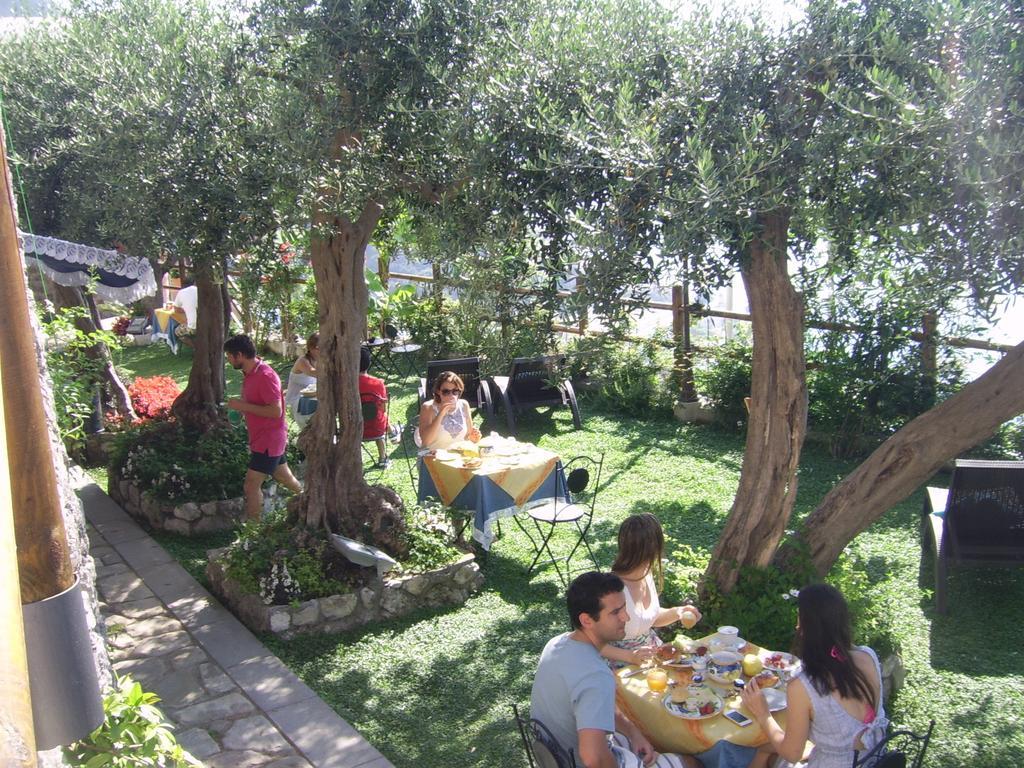 Alojamento de Acomodação e Pequeno-almoço World Center Amalfi