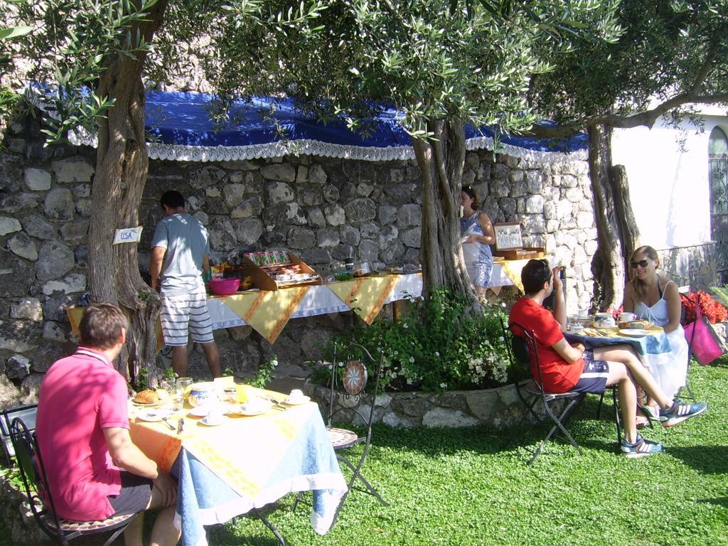 Alojamento de Acomodação e Pequeno-almoço World Center 3*
